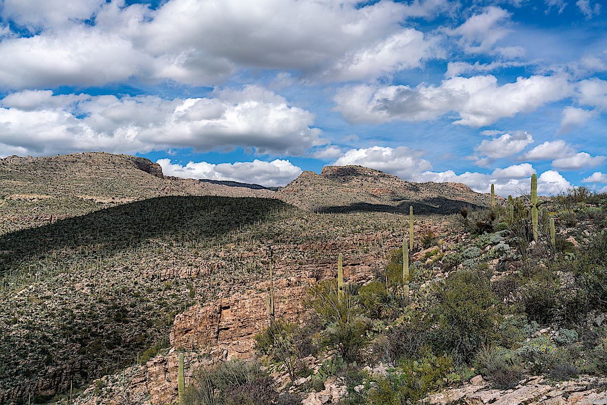 General Hitchcock Highway, Weathertop and The Ruins from the Agua Caliente Canyon Trail. February 2019.
